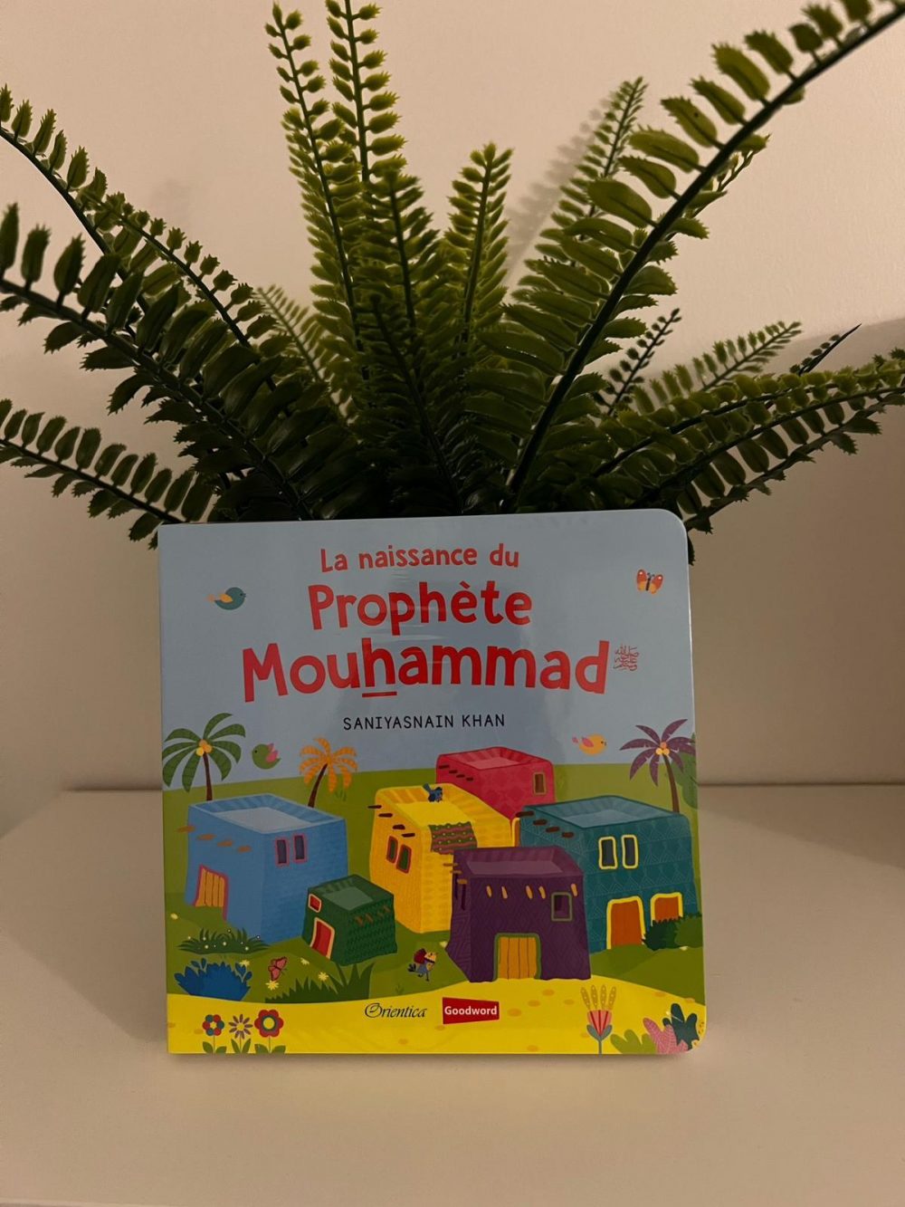 L’histoire de la naissance du prophète Muhammad ﷺ