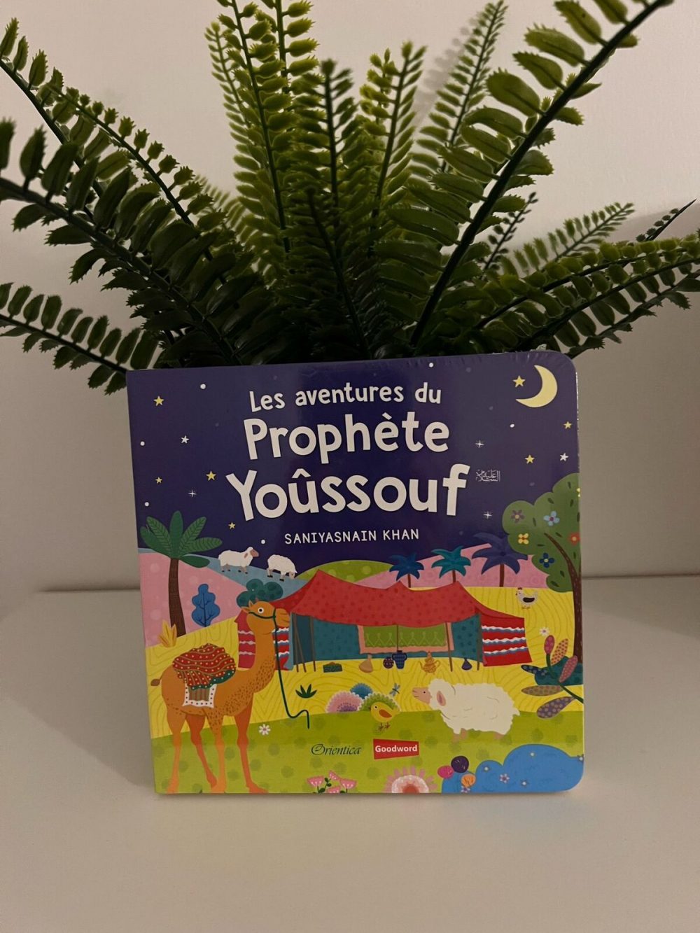 Les aventures du prophète Yoûssouf