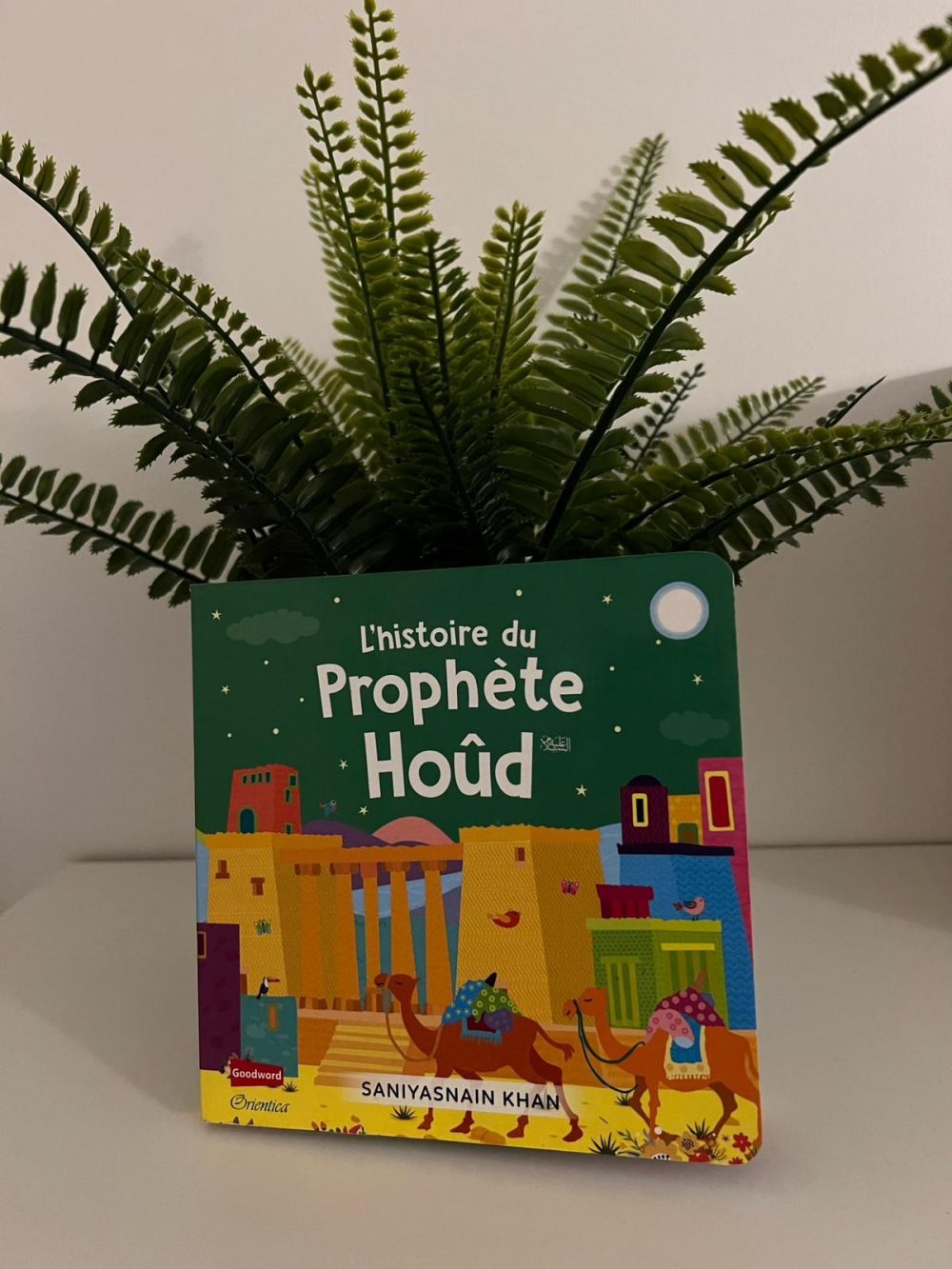 L'histoire du Prophète Hoûd
