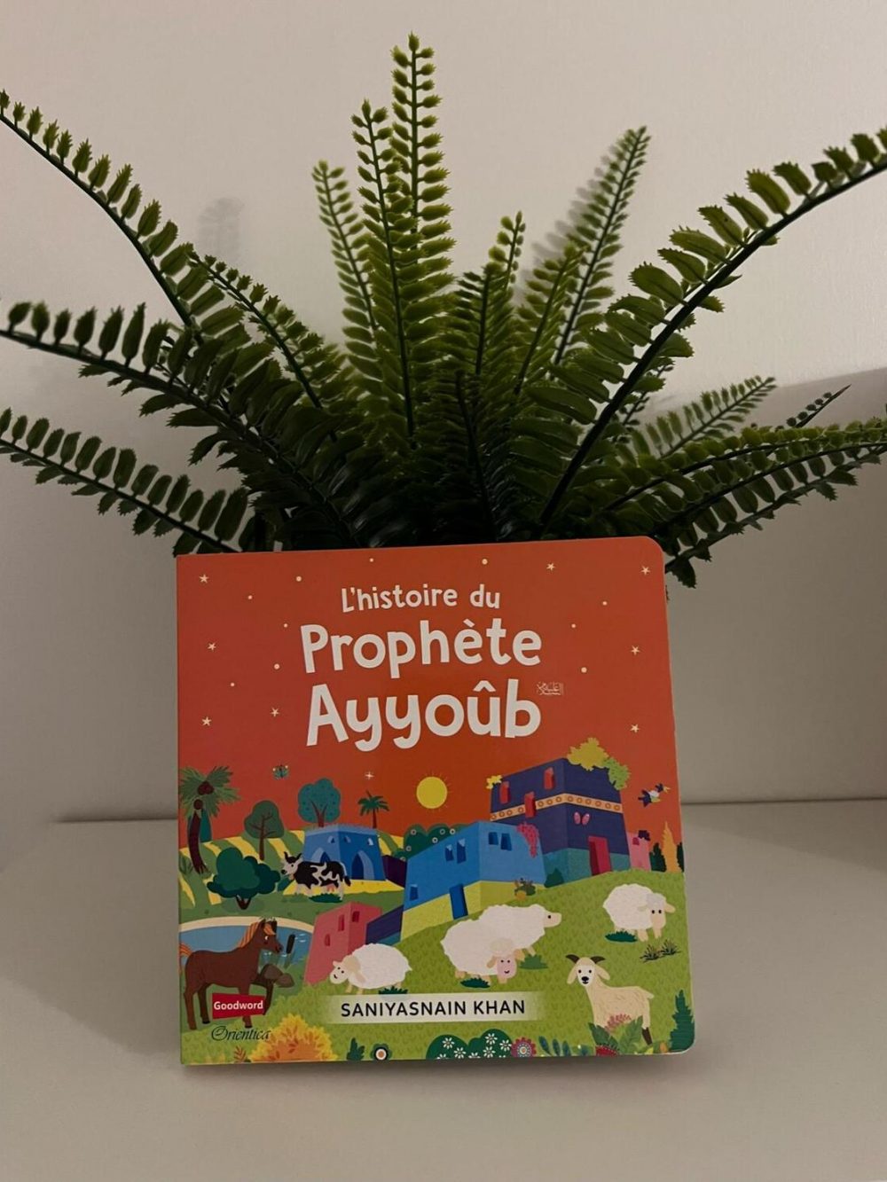 L'histoire du Prophète Ayyoûb