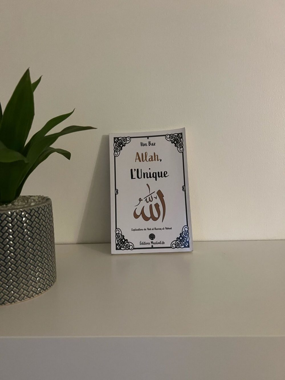 Allah l’unique