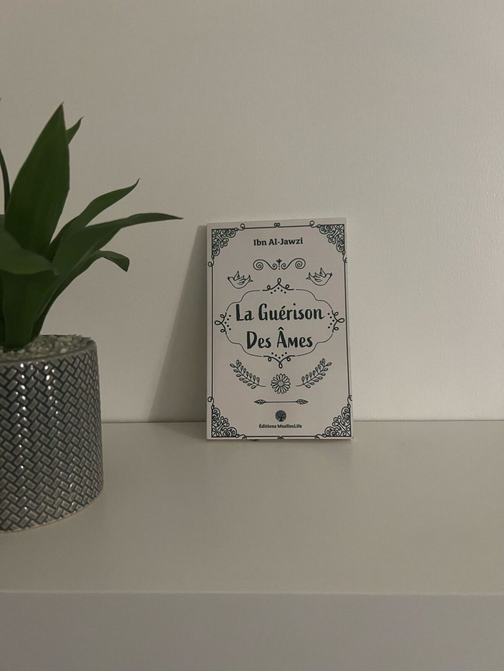 La guérison des âmes