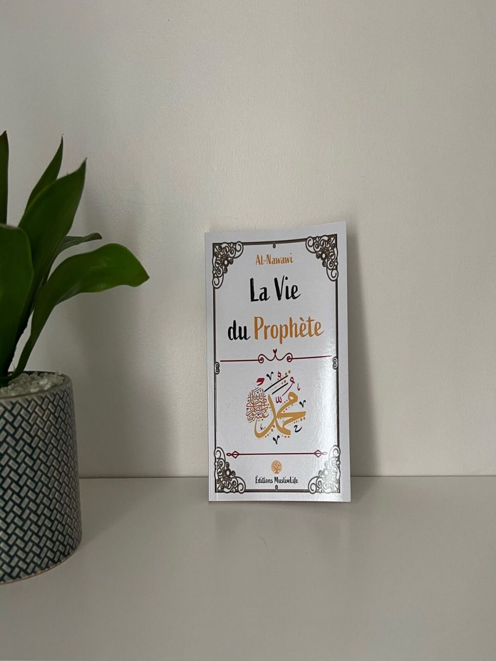 La vie du prophète