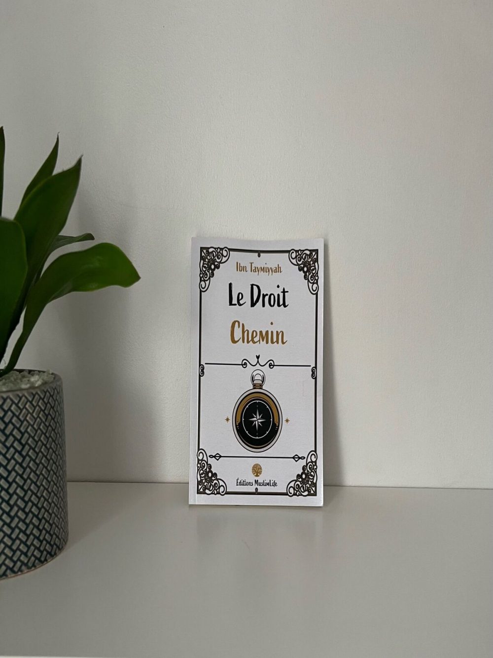 Le droit chemin