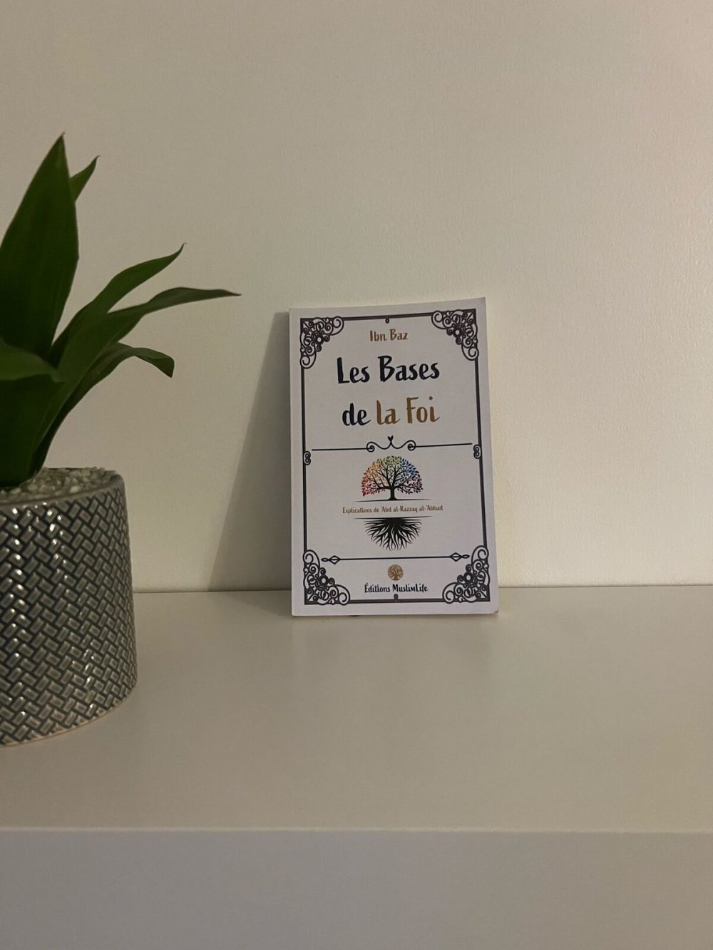 Les bases de la foi