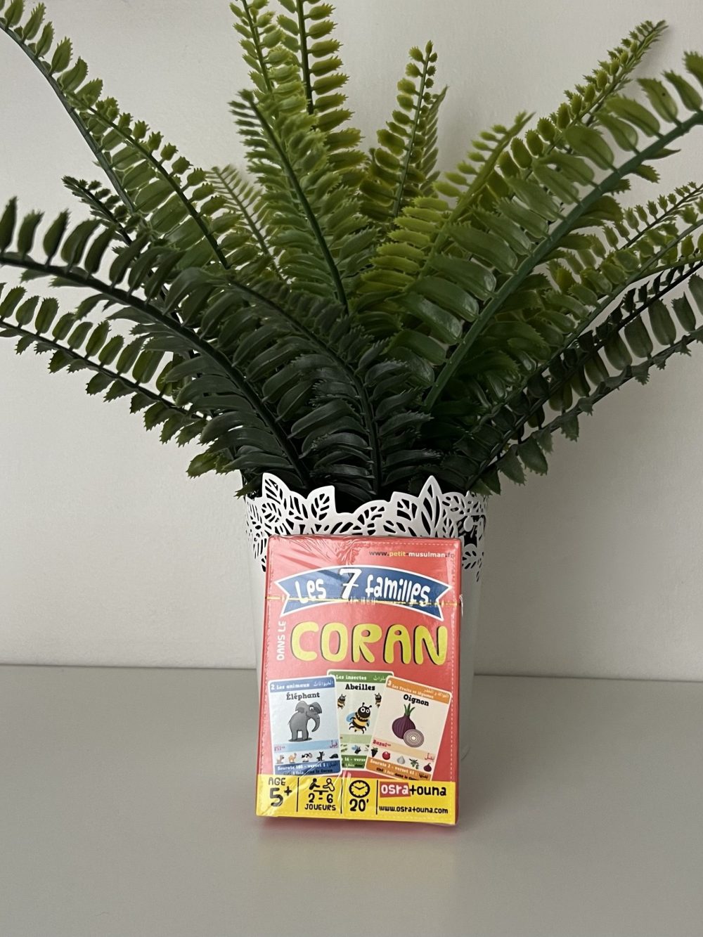 Les 7 familles du Coran