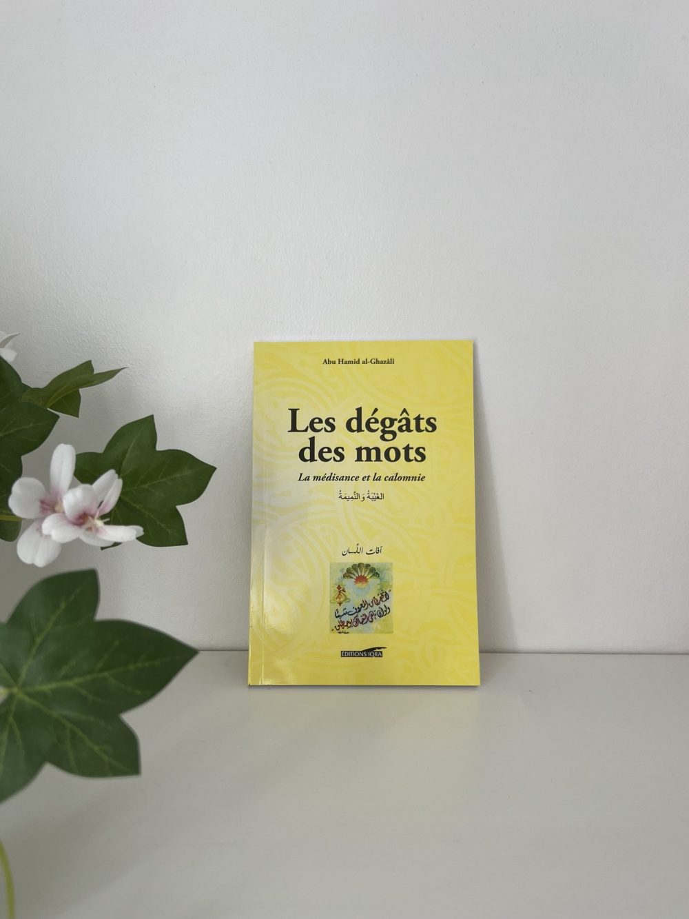 Les dégâts des mots