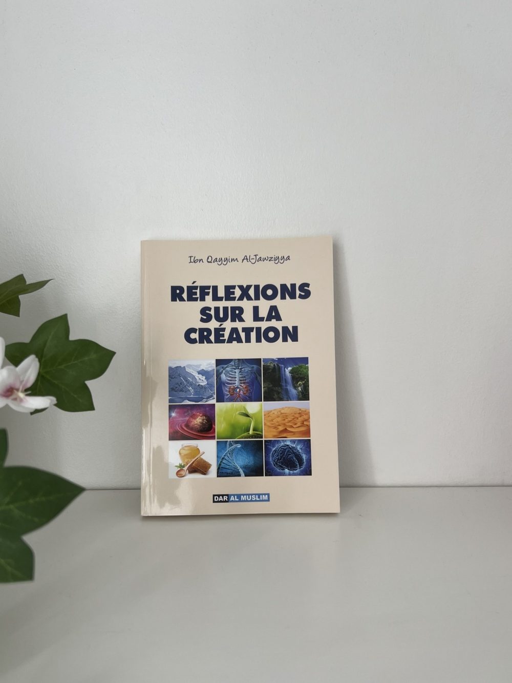 Réfléxion sur la création