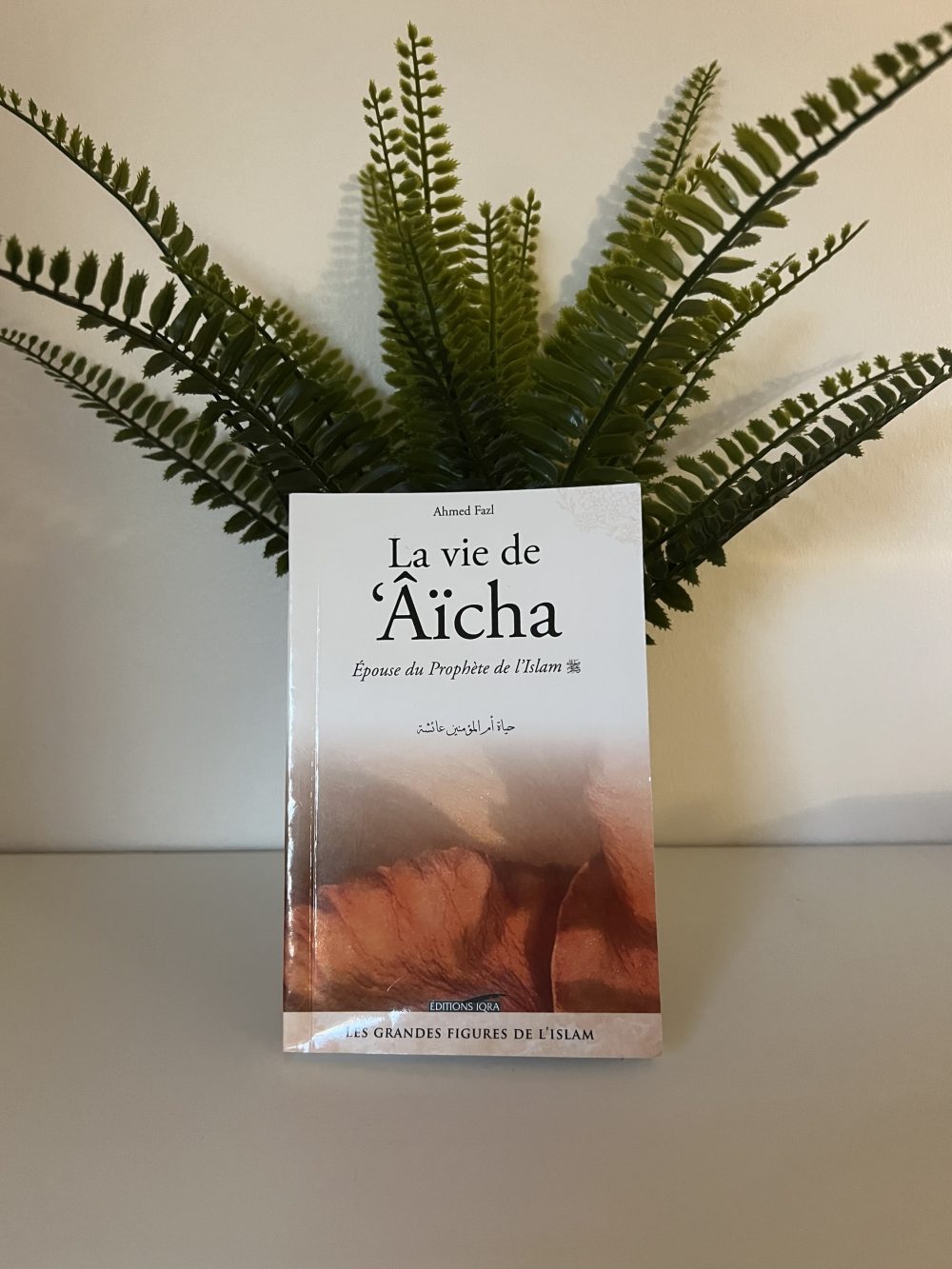 La vie de Aïcha