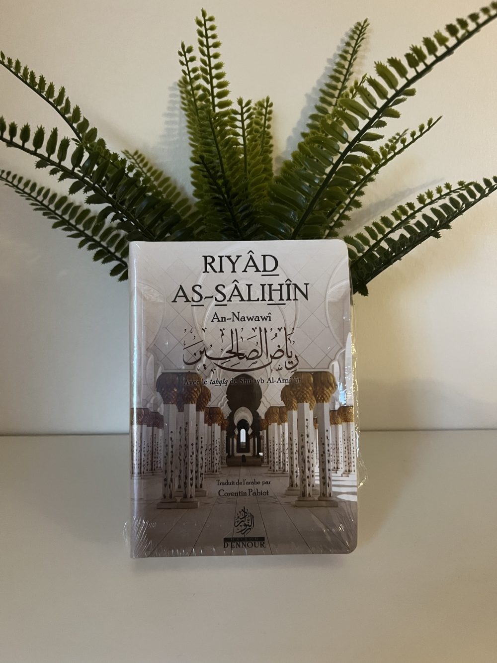 Riyâd As-Sâlihîn