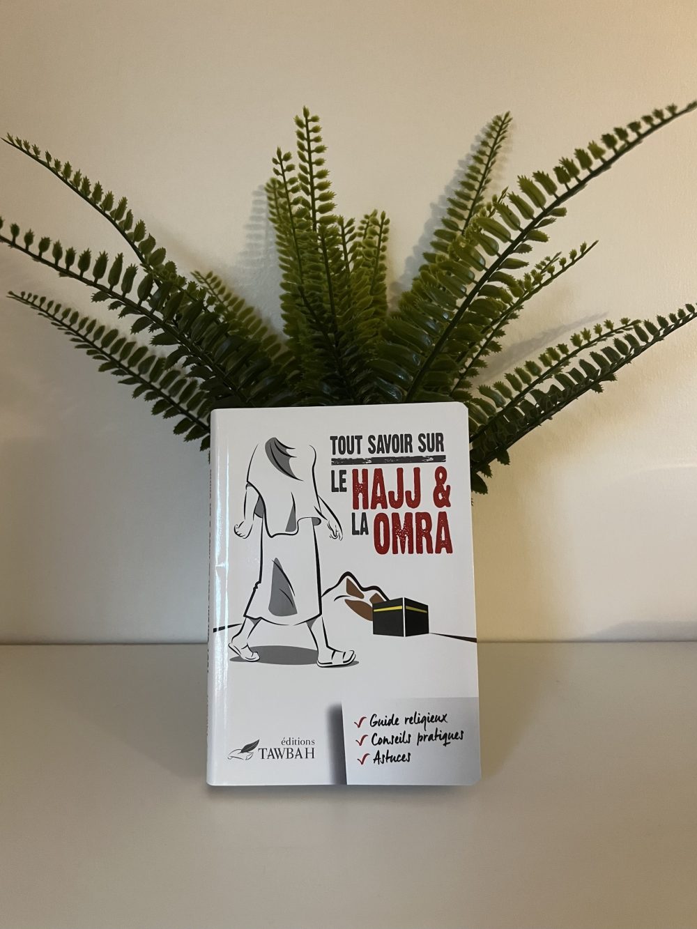 Tout savoir sur le hajj et la Omra