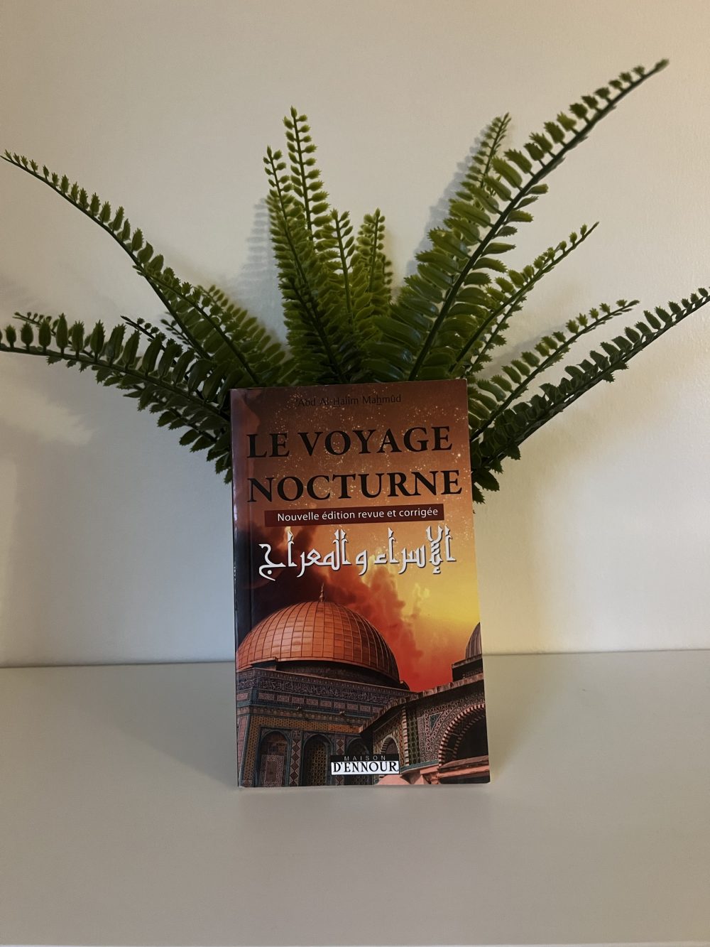 Le voyage nocturne