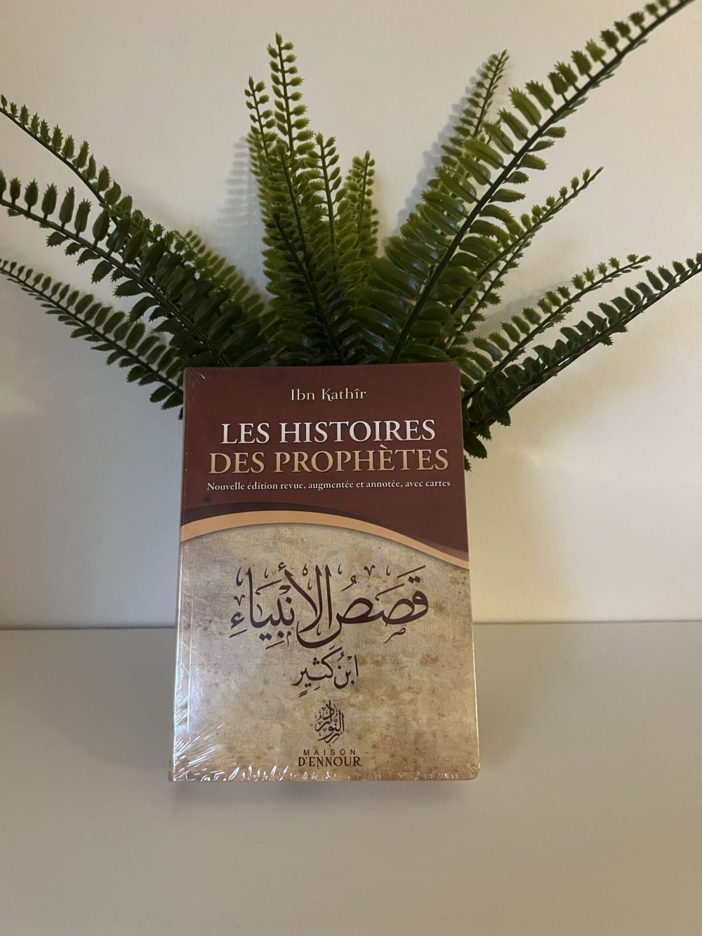 Les histoires des prophètes