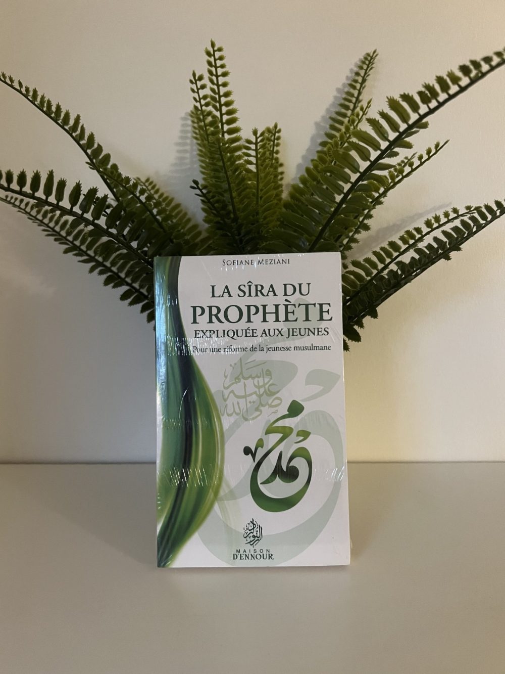 La sîra du prophète ﷺ expliquée aux jeunes