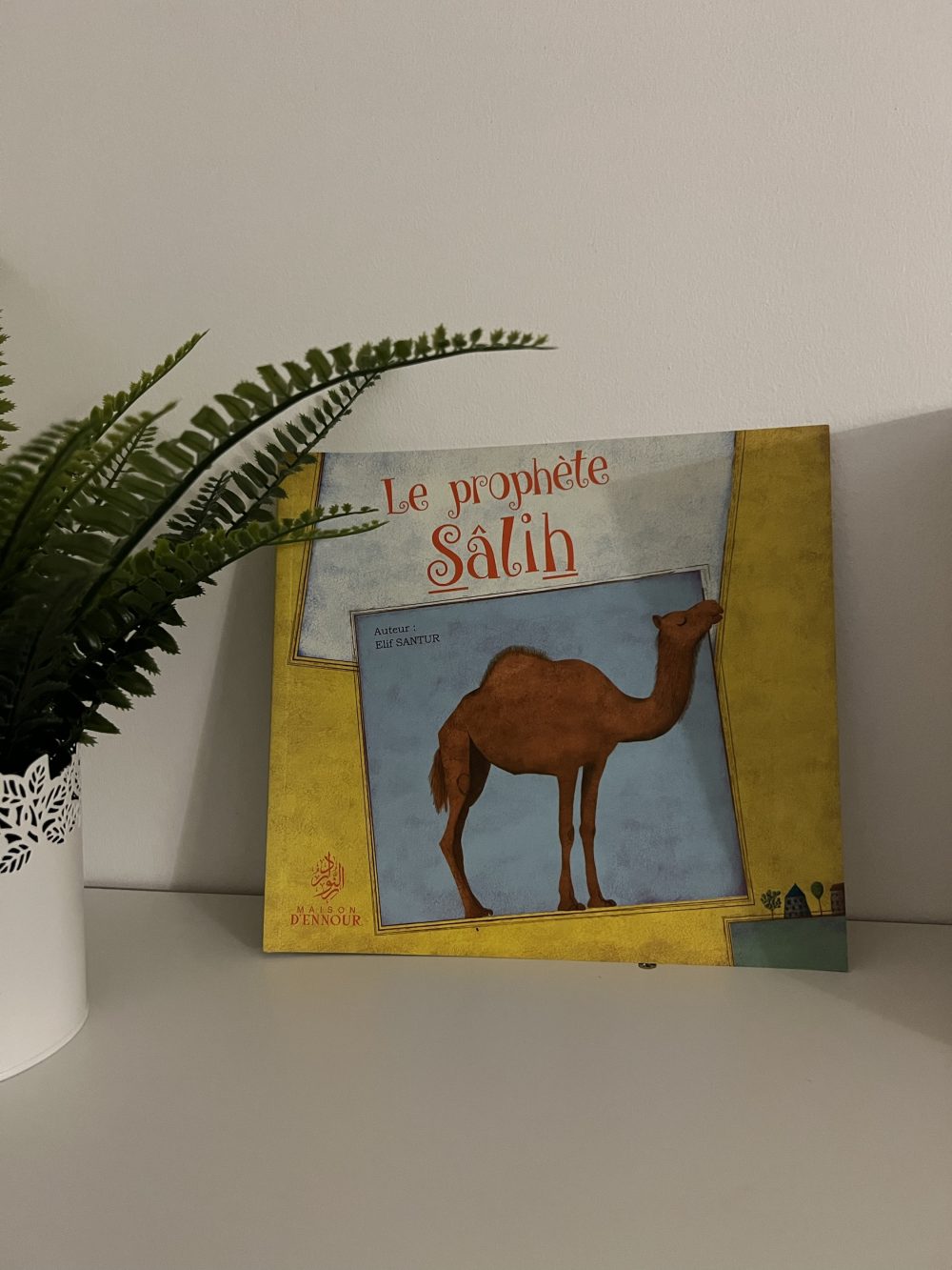 Le prophète Sâlih