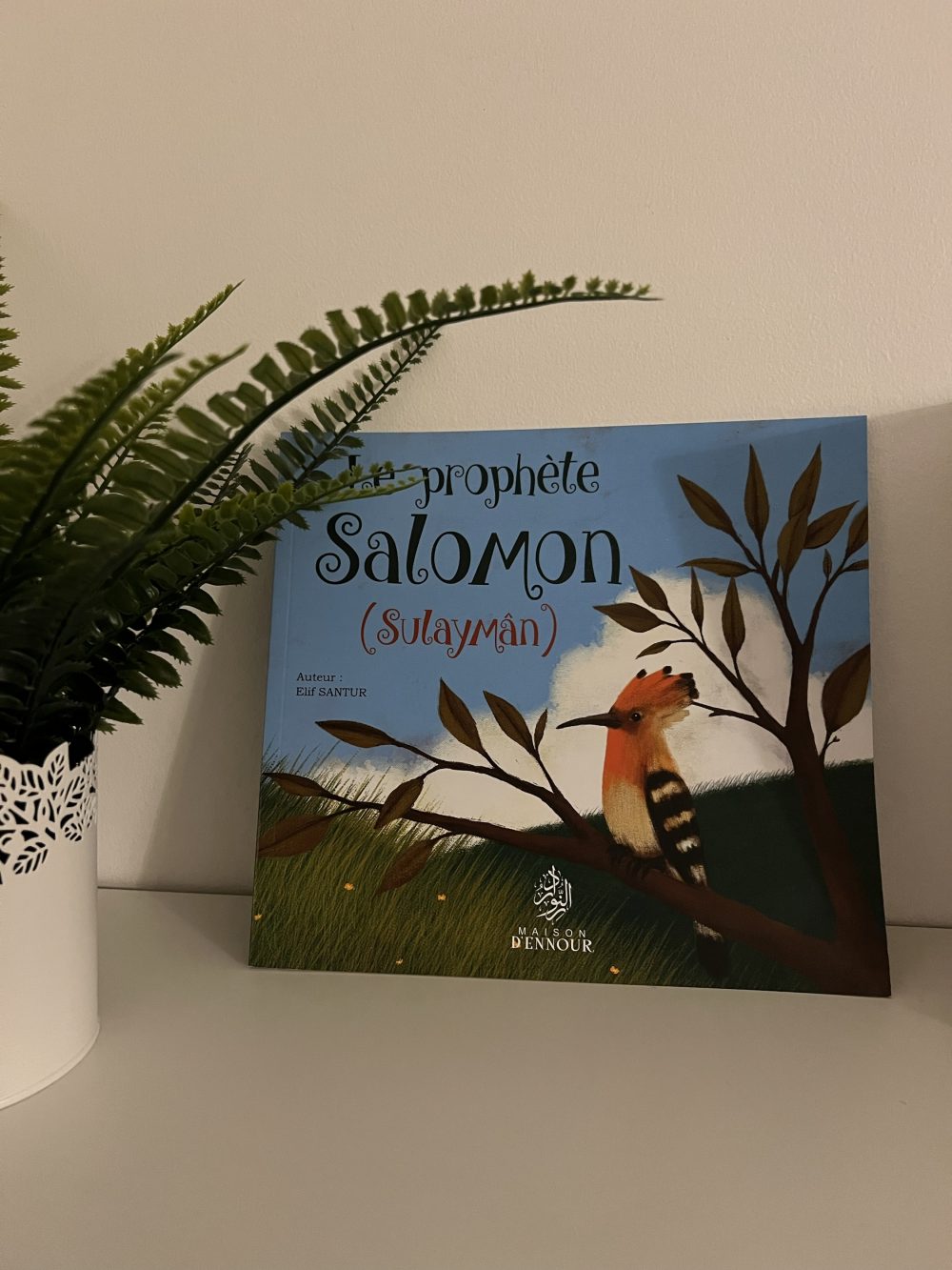Le prophète Salomon - Sulaymân