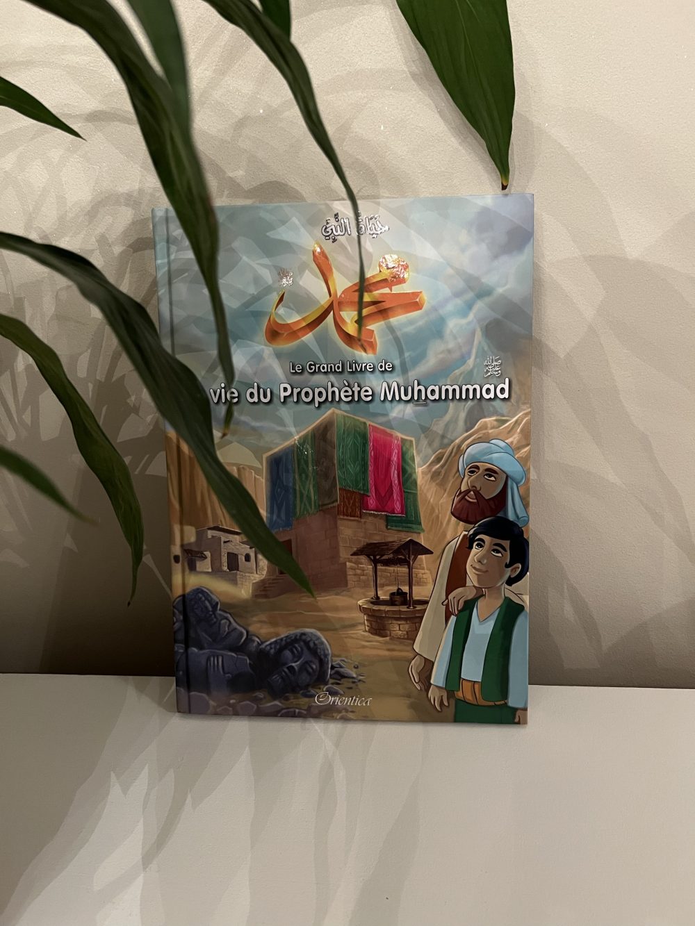 Le grand livre de la vie du prophète Muhammad ﷺ