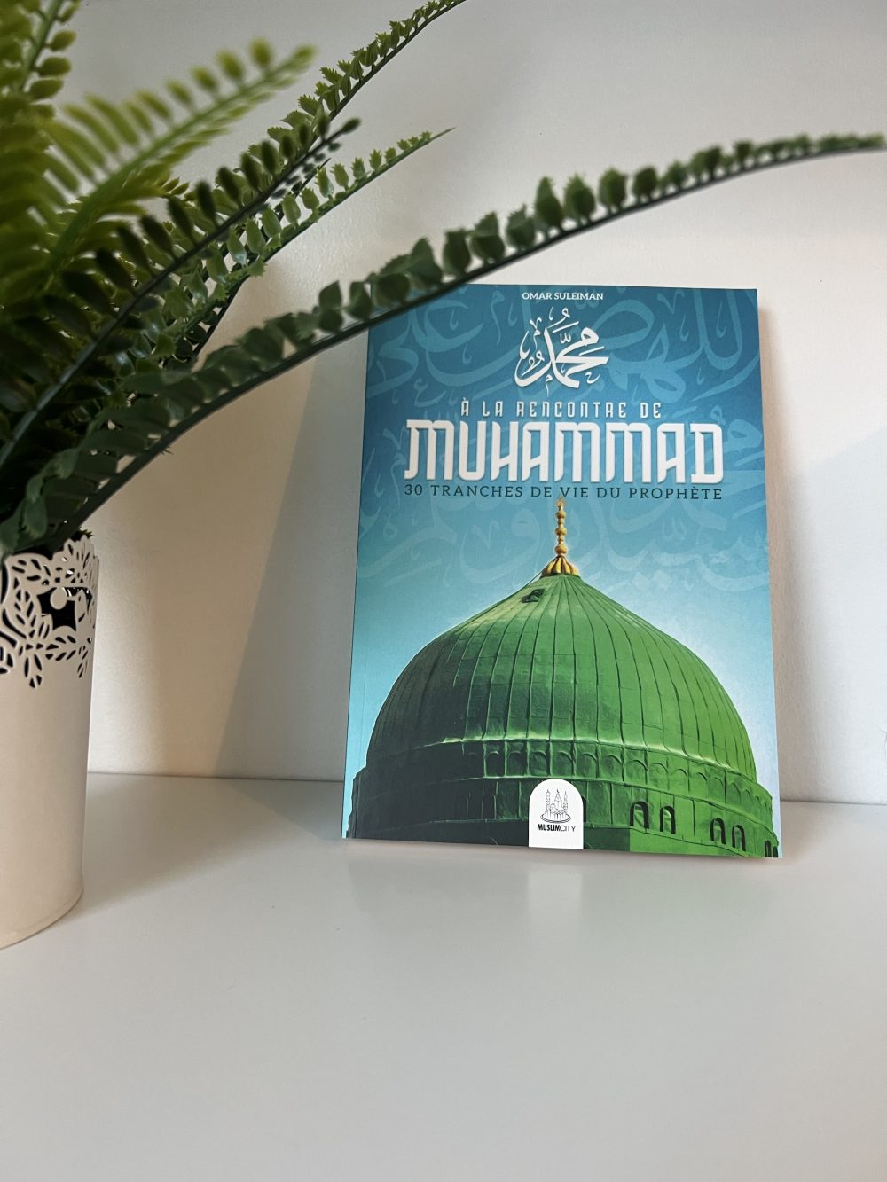 À la rencontre de Muhammad - 30 Tranches de vie du prophète ﷺ
