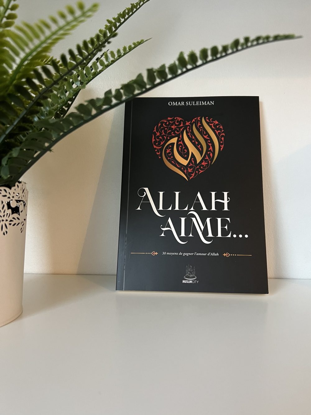 Allah aime - 30 moyens gagner l’amour d’Allah