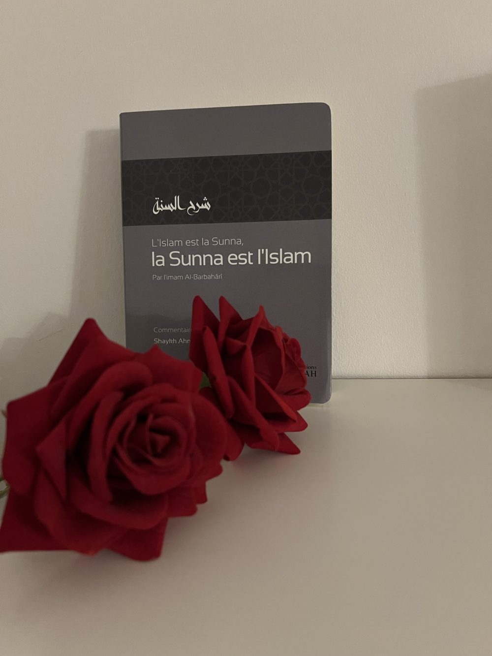 L’Islam est la Sunna, la Sunna est l’Islam