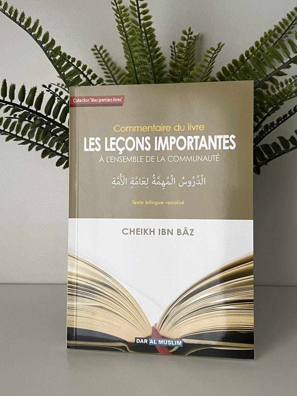 Commentaire du livre - Les leçons importantes à l’ensemble de la communauté