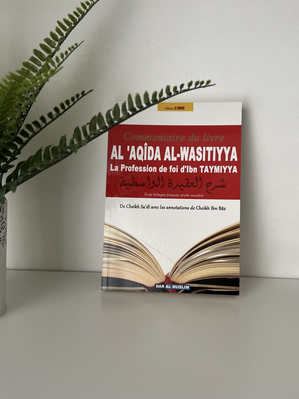 Commentaire du livre - Al aqîda al-wasitiyya