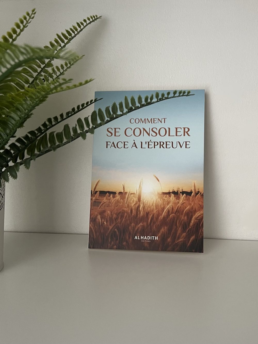 Comment se consoler face a l’épreuve ?